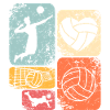 Volleyball