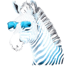 Cool Zebra Sunglasses