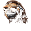 Cool Sloth Sunglasses