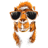 Camel Sunglasses