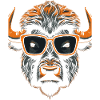 Bison Sunglasses