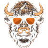 Bison Cool Sunglasses