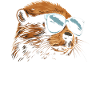 Beaver Sunglasses