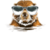 Biber Sneeker Sonnenbrille