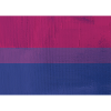 Bi Pride Flag