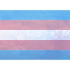 Trans Pride Flag