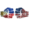 Filipino-American Friendship Day