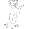 Jack Russell Terrier