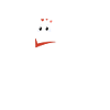 Hilarious Pogi declaration Philippine flag