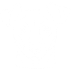 Jack Russell Terrier