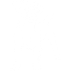 Jack Russell Terrier