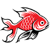 koi fish
