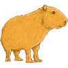 Capybara Pet