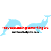 Dolphin Conspiracy Theory