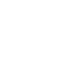 Animal Liberation Pig