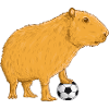 Capybara Football