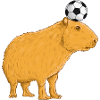Capybara Football