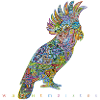 Rainforest bird