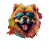 Chow Chow Hund Chinesische Hunderasse