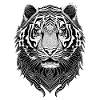 Tigre Blanc