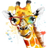 Elsy la girafe