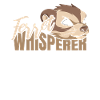 Ferret polecat cute