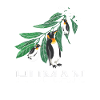 Penguin Funny