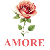 AMORE - Bunte Rose