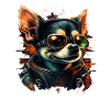 Chihuahua | Motard | Moto | Chien | Papa |