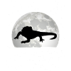 Bearded dragon moon