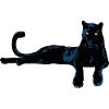Panther - Cat - Predator