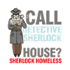 Detective Without A House