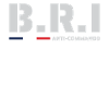 BRI BAC Anti-Commando France