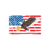 USA Independence Beer Drinking Freedom