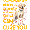 Labrador Funny Saying