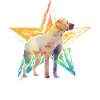 Labrador