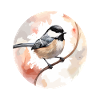 Chickadee bird