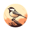 Chickadee bird