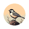 Mésange