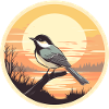 Chickadee bird