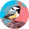 Mésange