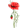 Blumen