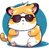 Kikoi the hamster