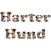Harter Hund