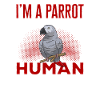 Graupapagei African Grey Parrot Papagei