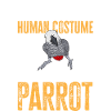 Graupapagei African Grey Parrot Papagei
