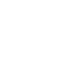 The Jehovah's Witnesses