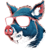 Cool Pig Sunglasses