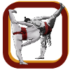 SUMO III