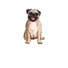 Cadeaux de bouledogue français